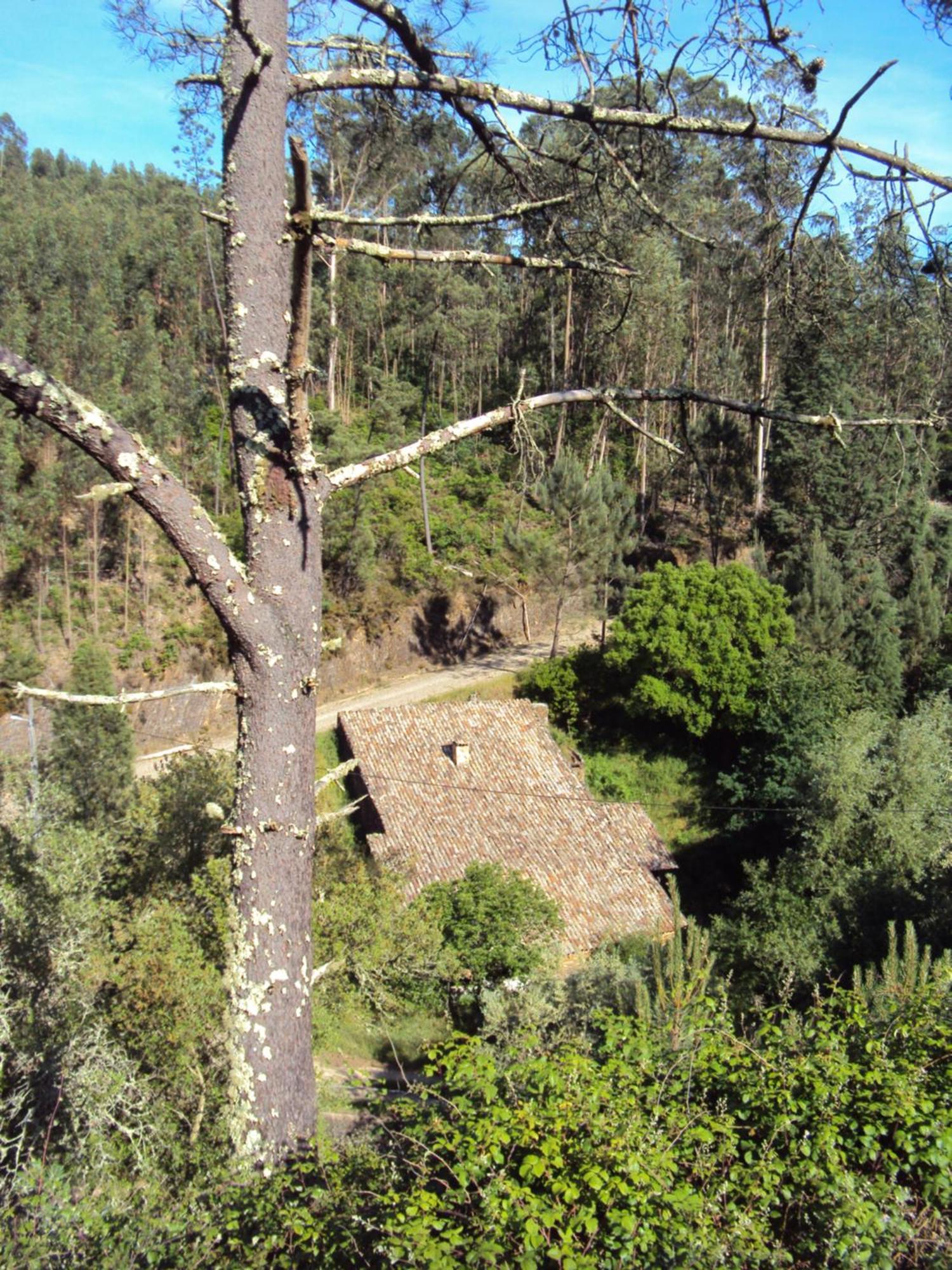 Parque Tematico Vale De Mouro Villa ภายนอก รูปภาพ